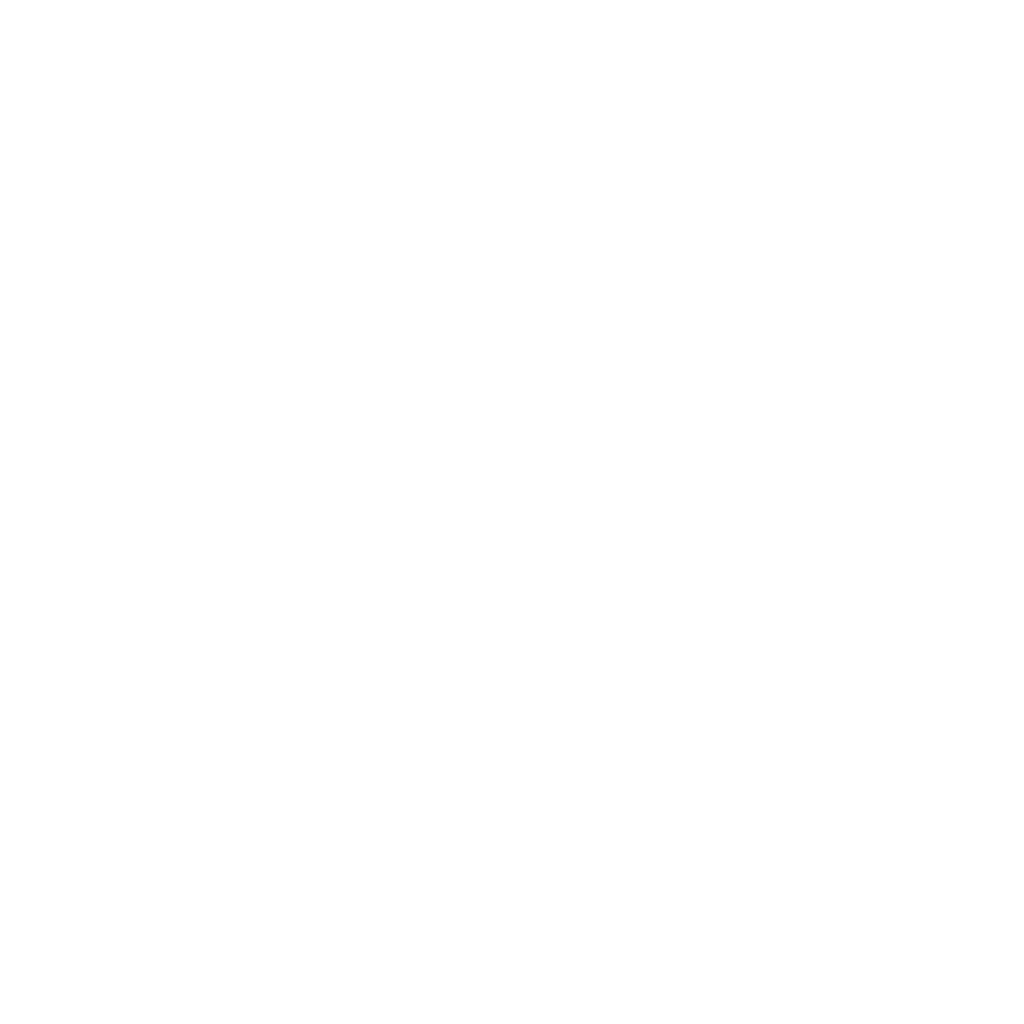SunflowerAds logo white – social media advertising for startups